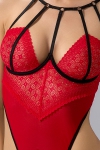 Body ouvert Akita Body ouvert Akita
