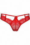 String V-8988 - Axami String V-8988 - Axami