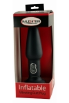Plug anal gonflable vibrant Plug anal gonflable vibrant